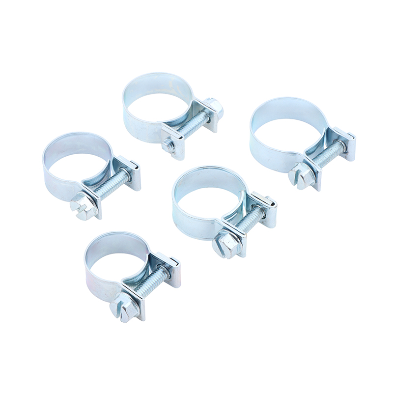 Jubilee Hose Clips 10Pcs Set f - огляд і ціна Hose Clamp Assorted