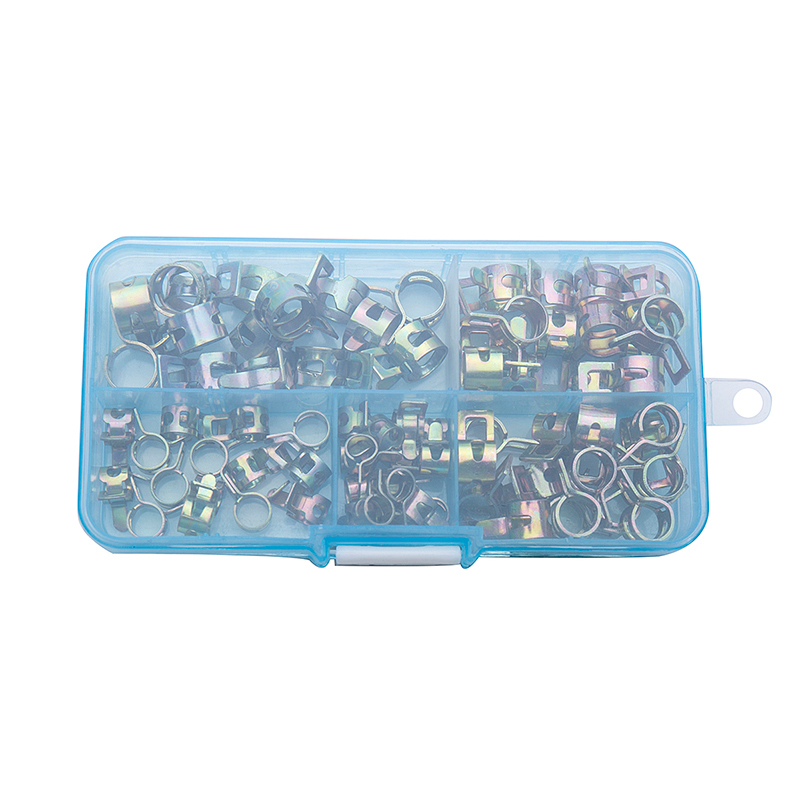 75Pcs/set 6-10mm Spring Fuel O - огляд і ціна Hose Clamp Assorted