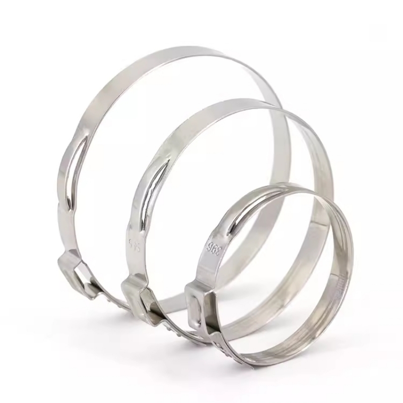 5-20pcs 5.3-159mm 304 Stainles - огляд і ціна Hose Clamp Assorted